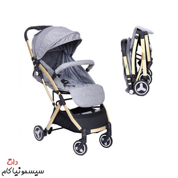 Travel-stroller-rich-kids-(2)