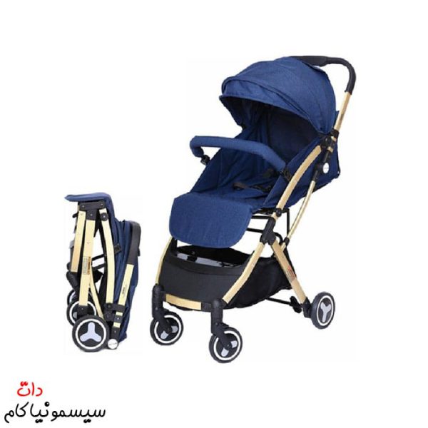 Travel-stroller-rich-kids-(4)