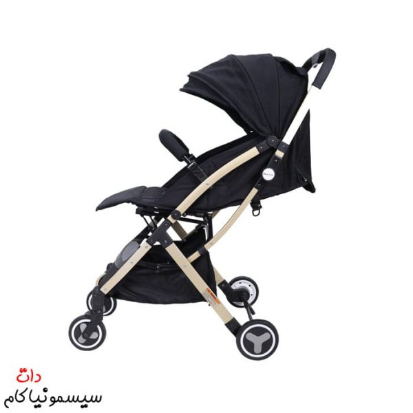 Travel-stroller-rich-kids-(5)